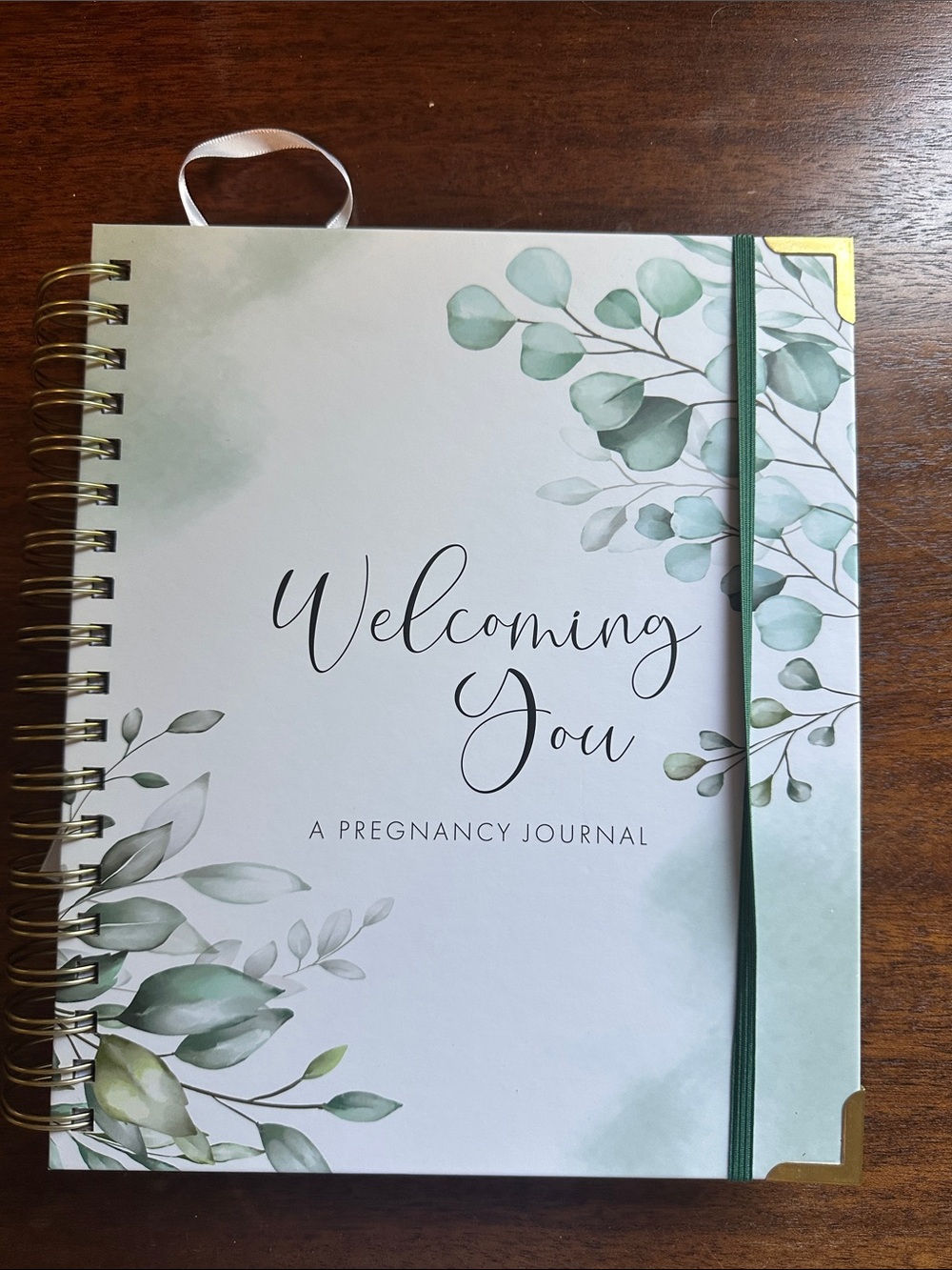 NWOT welcoming you pregnancy journal